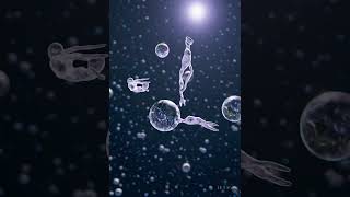 Alien Space Serenade