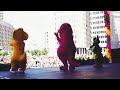 Barney BabyBop BJ In Boston Meet Greet 1995 Appearance Fo For Park Attraction
