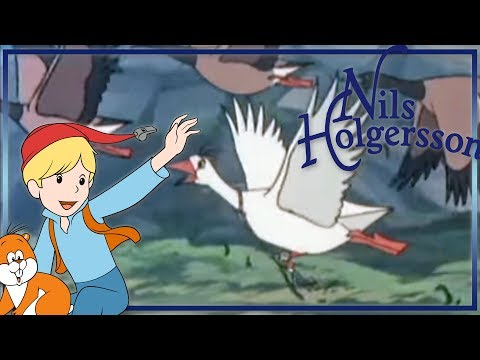 Nils Holgersson: Die Nacht am Ronneby-Fluss - Folge 11 auf Deutsch in ganzer Länge