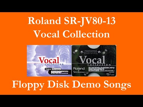 Roland SR-JV80-13 Vocal Collection Expansion Board – freshly recapped image 3