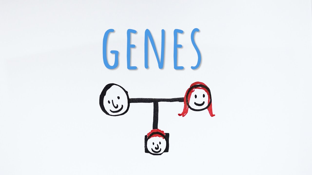 Genes