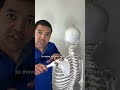 How Shrugging Cures Shoulder Impingement