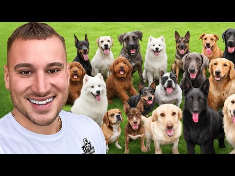 USREĆIO SAM 100 PASA