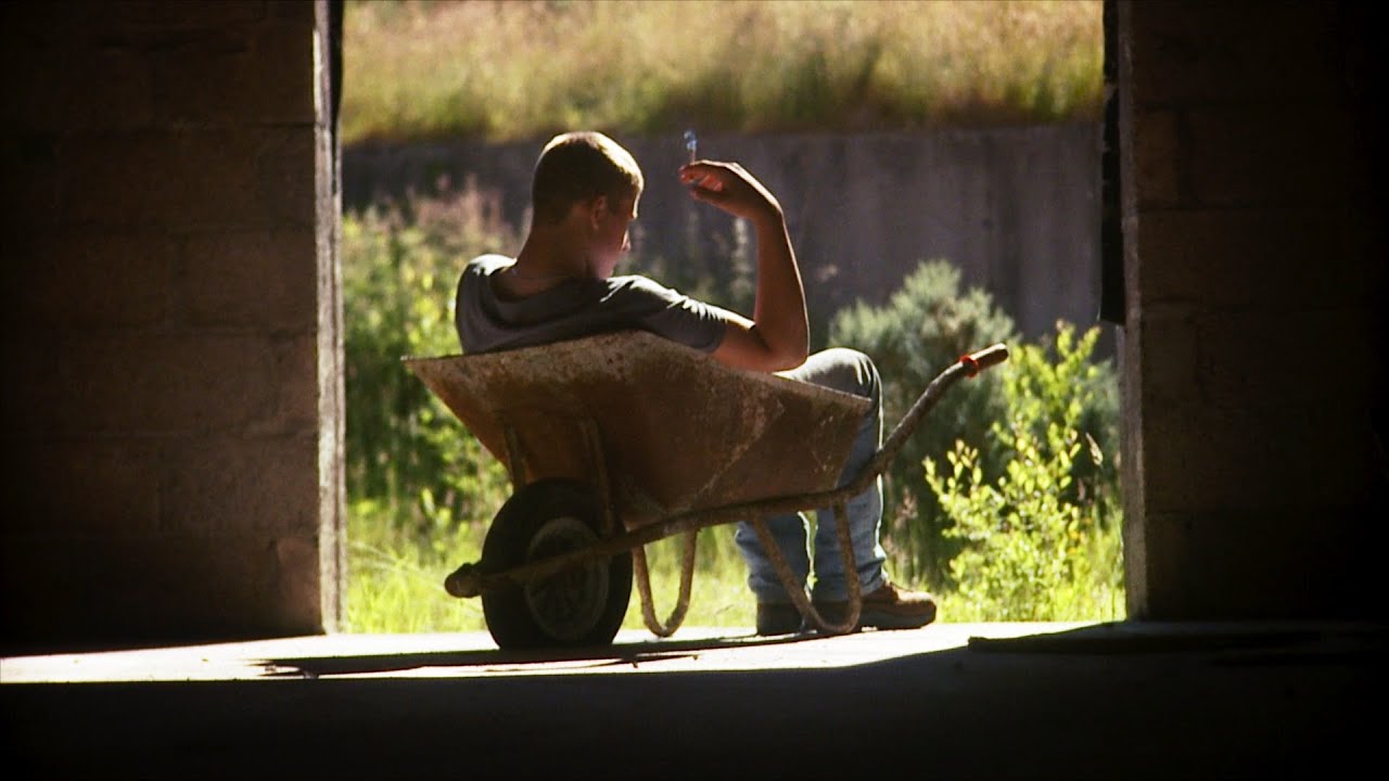 'The Evening Redness in the South' / Official Trailer
