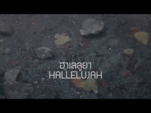 คอร์ดเพลง ฮาเลลูยา - 