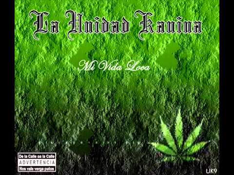Mi Vida es un Desmadre - La Unidad Kanina UK9