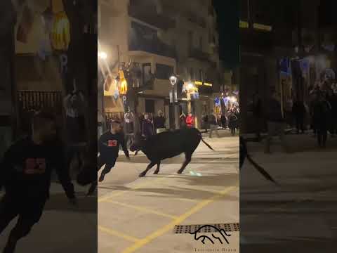 ESPECTACULAR! Albert Navarro & Macarena de Hnos.Monferrer #territoriobravo