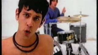 Shed Seven - Dolphin Video