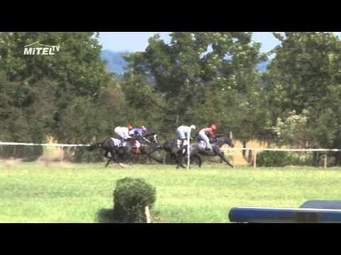 MI, 26. 7. 2015, 4. dostih - CENA STÁJÍ BERGER, MÄDER, A FLASH