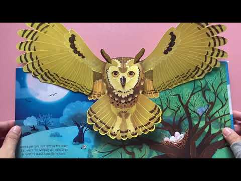 Usborne Pop-Up Birds