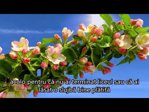 ETAPELE  TREZIRII  TREPTATE