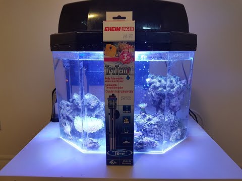 Watch Video on YouTube