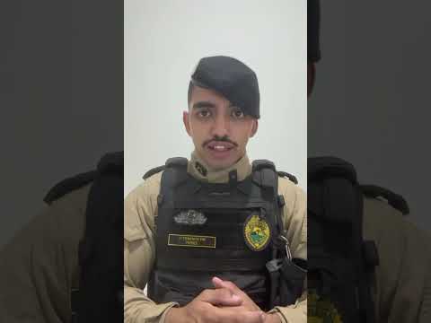 AJUDE A POLICIA IDENTIFICAR VIOLADORES  DE TÚMULOS MIRASELVA