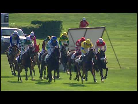 PE, 26. 5. 2018, 5. dostih - Velká cena města Pardubic - I. kvalifikace na 128. VP s ČP