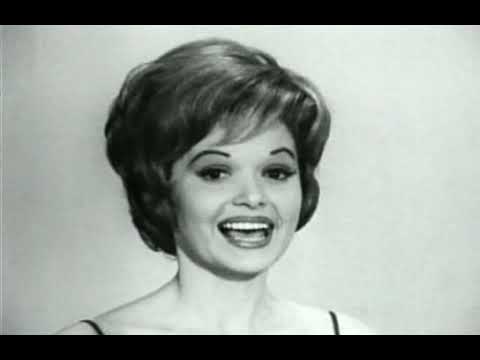 Secret Life Of Machines 305 The Photocopier