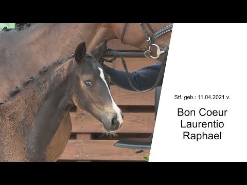 Stf v Bon Coeur x Laurentio x Raphael 2021