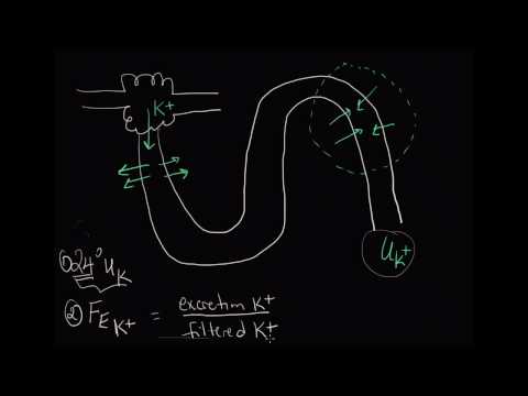 10-minute Rounds:  The Trans-tubular Potassium Gradient (Why the TTKG?)