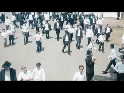 camp mogen av promo (2020)