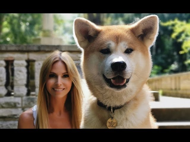 YouTube video preview