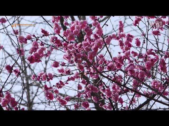 Gengdan Institute of Beijing University of Technology video #1