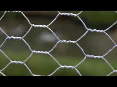 TG INFORMAZIONE 14 FEBBRAIO 2018