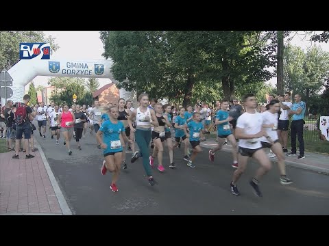 BIEG TROPEM WILCZYM W GORZYCACH