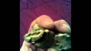 Ancient shaman vision stone very rare