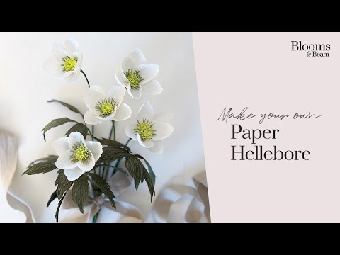 Make a Paper Hellebore | Crepe Paper Flower DIY