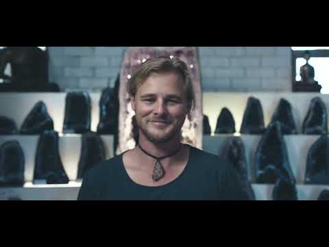 Root Cause Die Wurzel allen Übels 2019