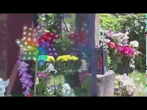 Hans Höltzel alias Falco Grab auf dem Wiener Zentralfriedhof 2016 R.I.P.