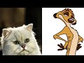 Same Voice Actor And Scream