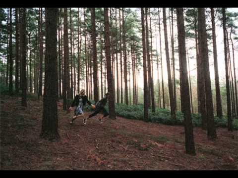 CONDOR44 -  Visionary Town