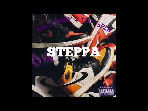 Dale Baby X TdF SpinBin - Steppa