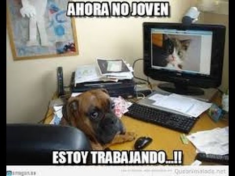 Welcome to Tomorrowland 2013   Avicii Basto Tiesto Dimitri Vegas Like Mike