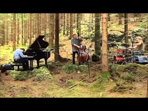 Bobo Stenson Trio - Don's Coralåt (2009)