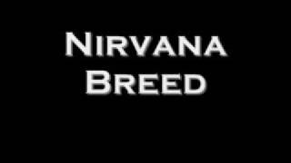 Nirvana: Breed with Lyrics