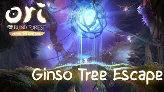 Ori and the Blind Forest - Ginso Tree Escape