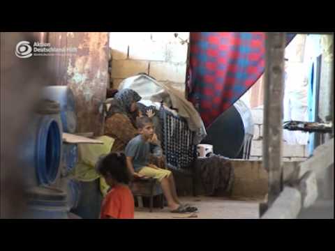 Die toten Schafe und die Flüchtlinge