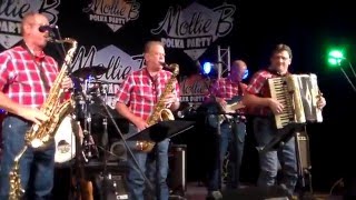 RED RAVENS POLKA BAND - ENNIS, TX. 04-29-2016