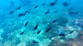 [問卦] 肥宅游1800公尺PR多少？