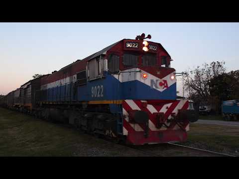 [4K] Tren vacio de NCA con destino a General Deheza pasando por Marcos Juárez al atardecer!!!!!!