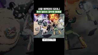 최신화) 사황해적단이 되더니 완전 달라진 최약체 동료들 #원피스