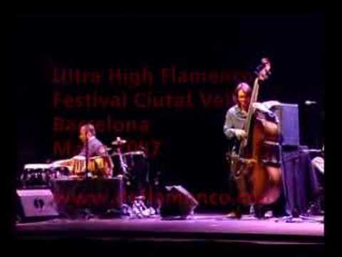 Ultra High Flamenco -