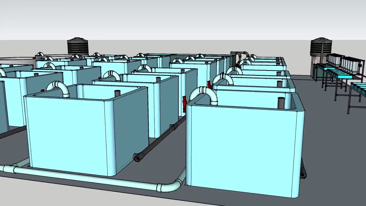 PART I: RAS Hatchery Design for Nile Tilapia