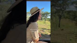 Warst du schon einmal einem Elefanten so nahe? 😍 #elefanten #safari #unglaublich