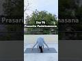 Day 96: Prasarita Padottanasana or Wide legged Forward Bend Pose stretches our entire body