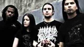 Pyrrah -  Human Debris