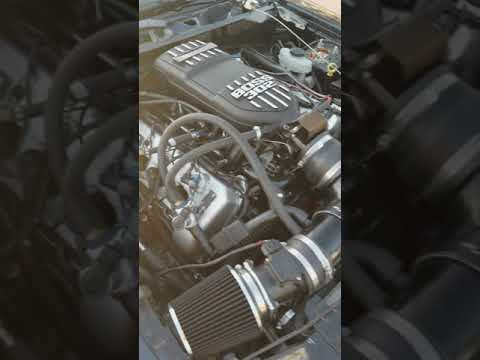 5.4 DOHC Mustang GT Build