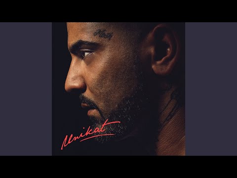 Alle Meine Brüder (Instrumental)