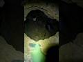 Guna Cave Real Guna Cave Manjummel Boys Shorts Viral
